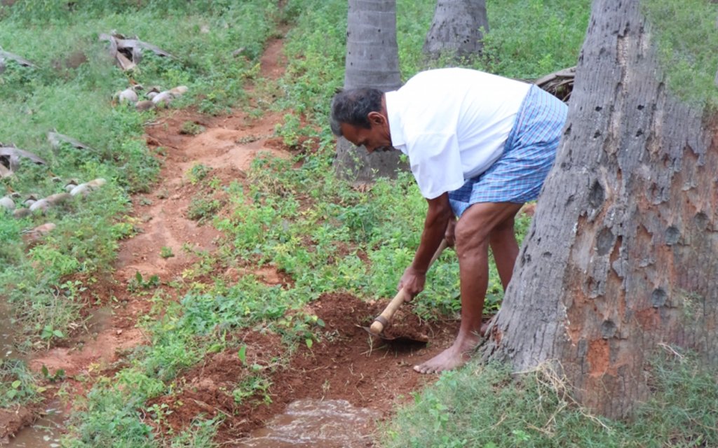 faster recovery back to work