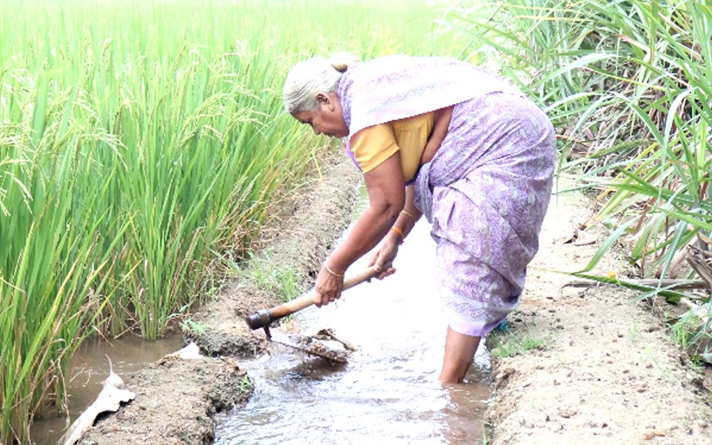 orthopedic kee replacement surgery in tamilnadu