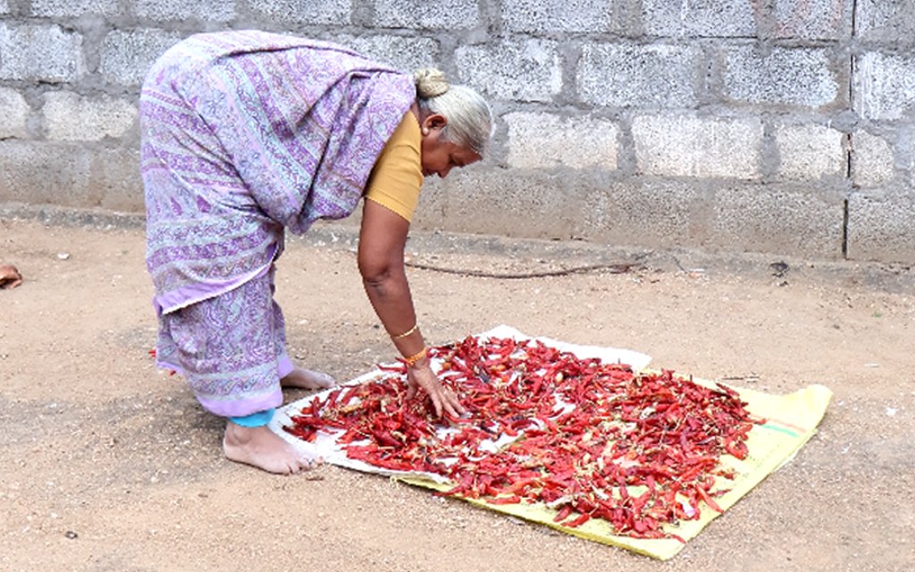 Orthopedic Knee Replacement Surgery Tamilnadu